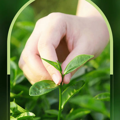 Gel crème hydratante SADOER au Tea Tree – Anti-acné et hydratante, idéale pour les adolescentes